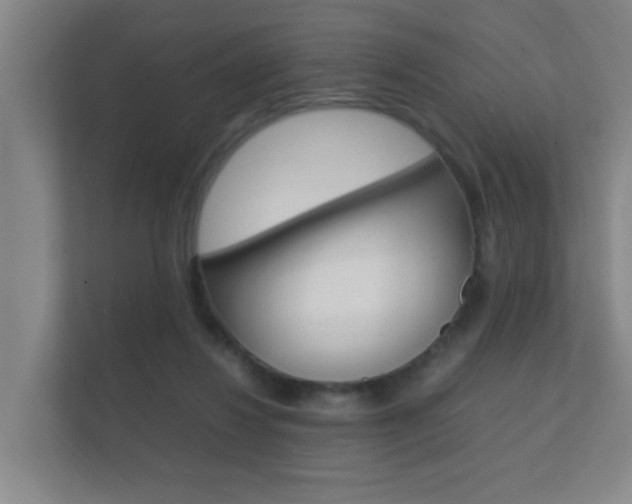X0000112370260200908131300