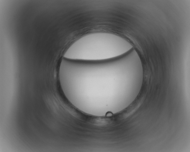 X0000112370261200908131300