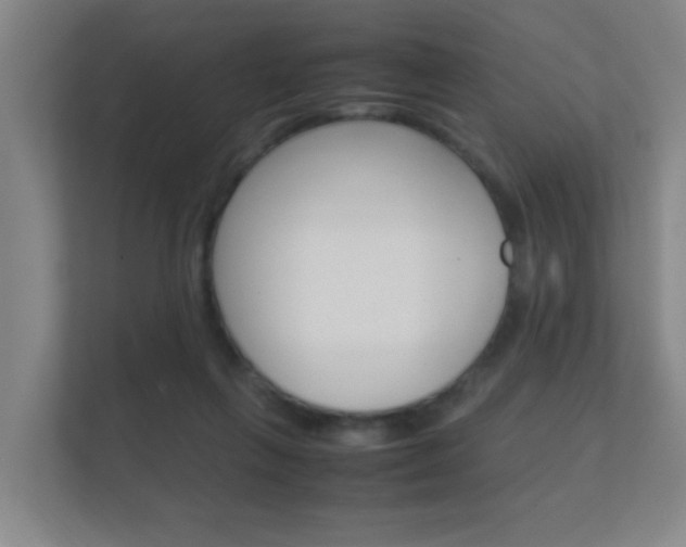 X0000112370263200908131300