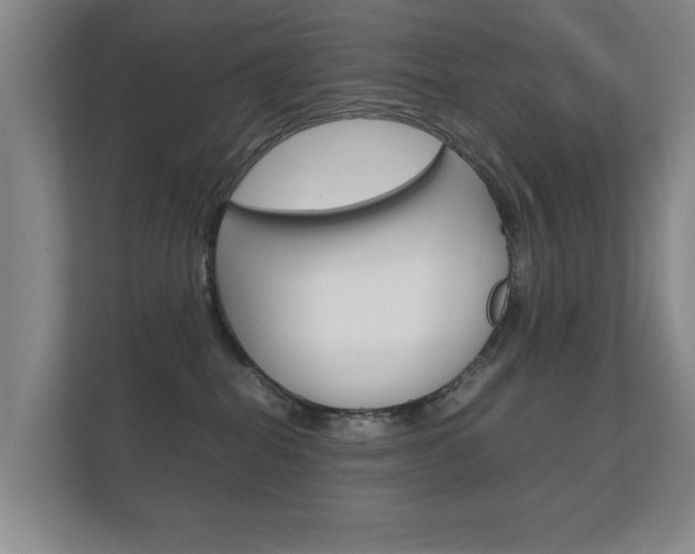 X0000112370282200908131300