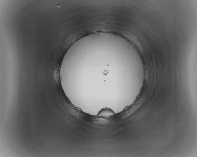 X0000112370285200908131300