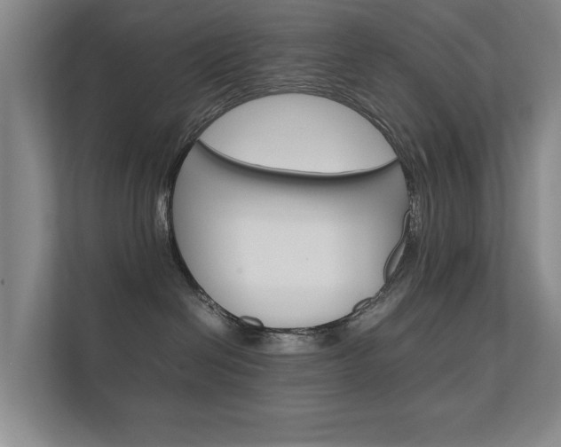 X0000112370286200908131300