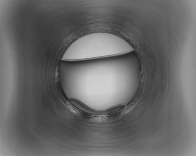 X0000112370288200908131300
