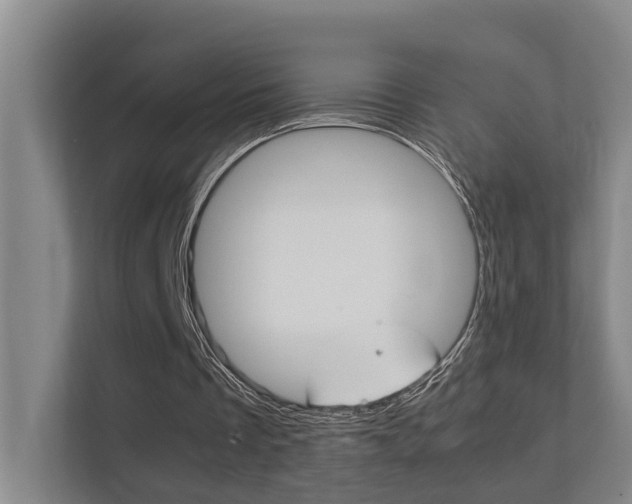 X0000112370289200908131300