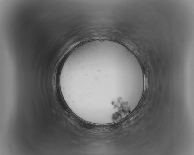 X0000112370291200908131300