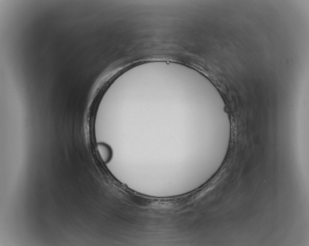 X0000112370294200908131300