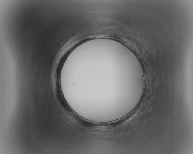 X0000112370295200908131300