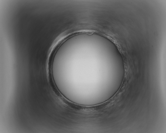 X0000112370296200908131300
