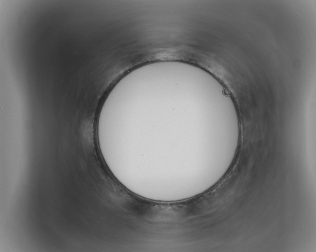 X0000112370297200908131300