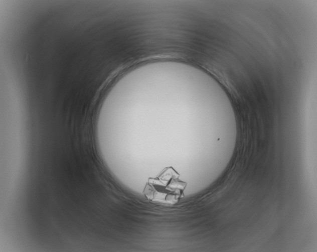 X0000112370300200908131300