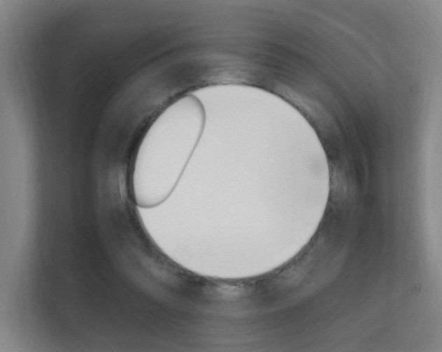 X0000112370302200908131300