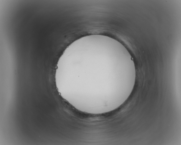 X0000112370307200908131300