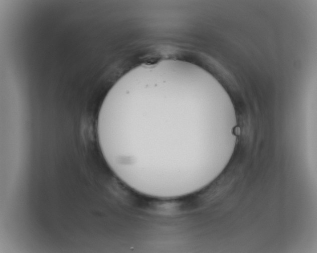 X0000112370313200908131259