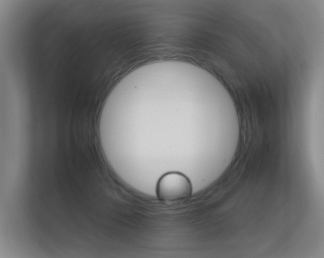 X0000112370320200908131259