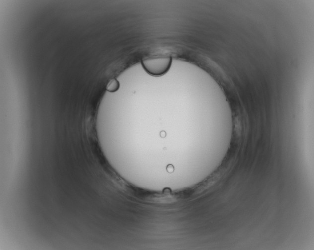 X0000112370322200908131259