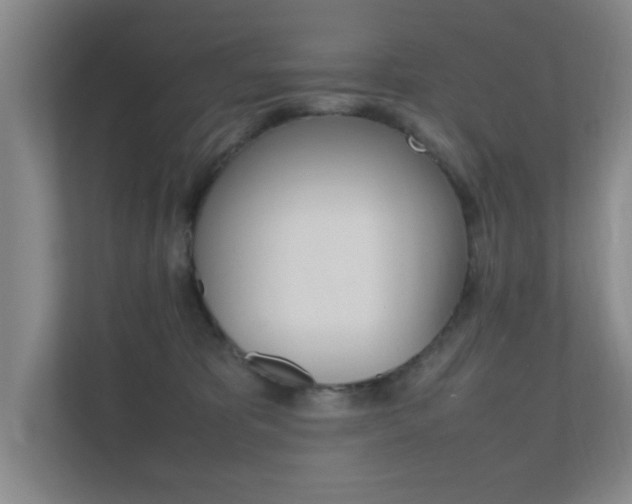 X0000112370325200908131259