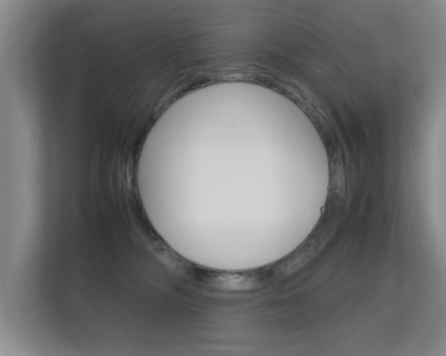 X0000112370326200908131259
