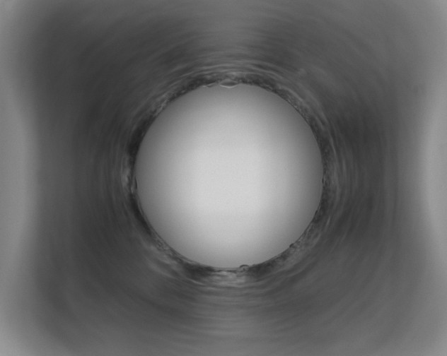 X0000112370328200908131259