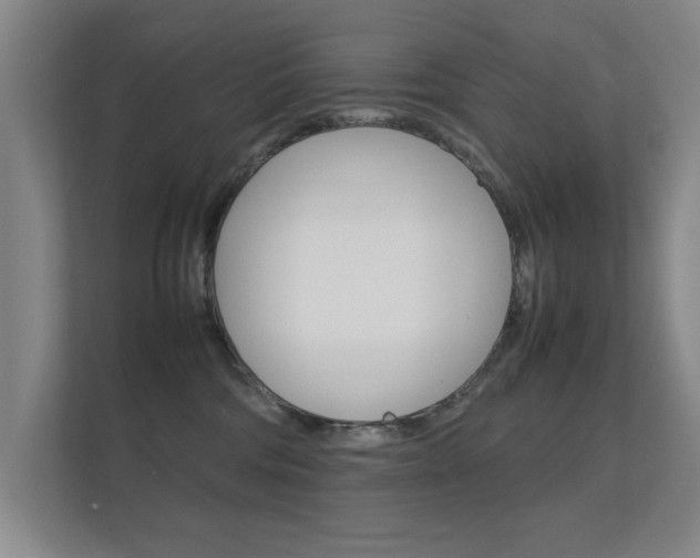 X0000112370330200908131259