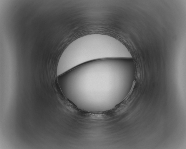X0000112370332200908131259