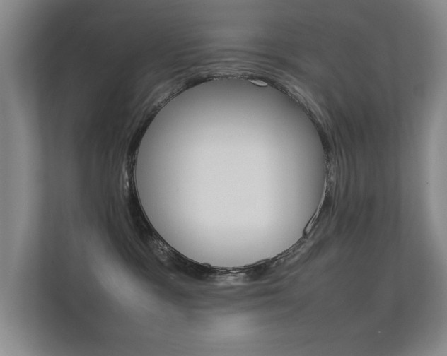 X0000112370333200908131259