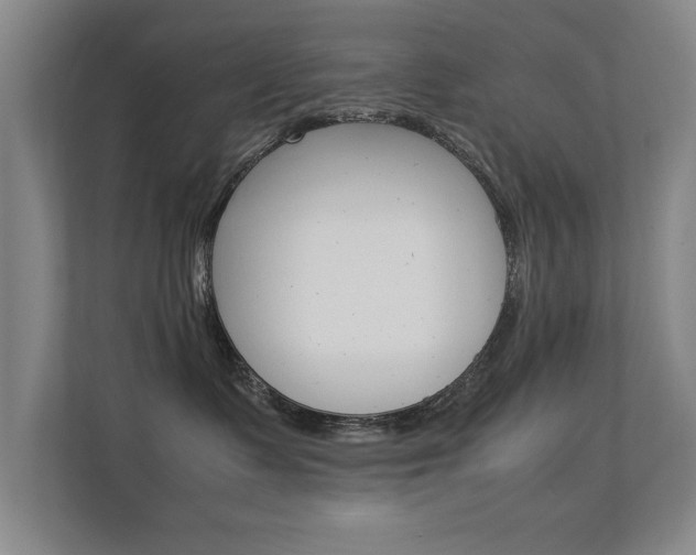 X0000112370335200908131259