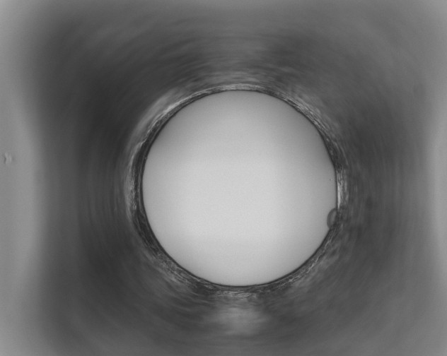 X0000112370339200908131259