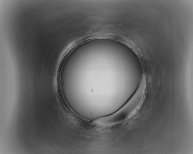 X0000112370340200908131259