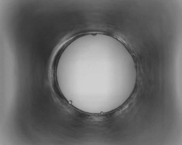X0000112370343200908131259