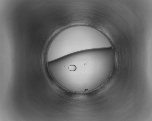 X0000112370348200908131259