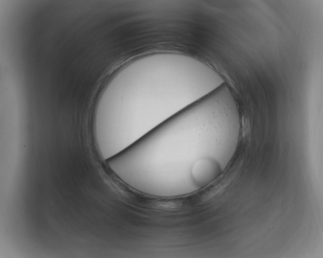 X0000112370349200908131259