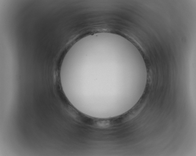 X0000112370355200908131259