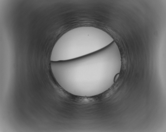 X0000112370379200908131259