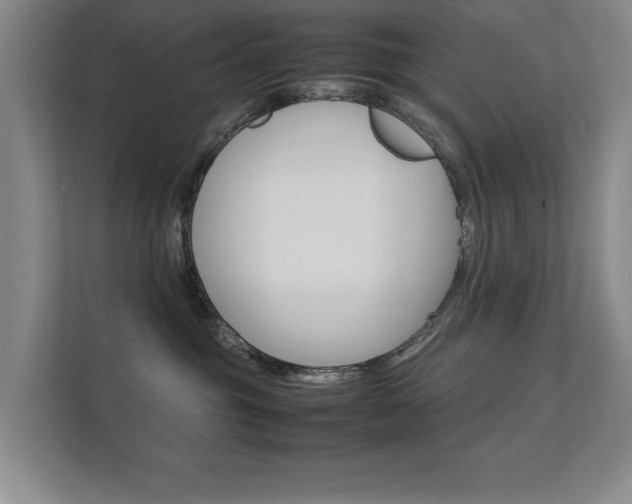 X0000112370381200908131259