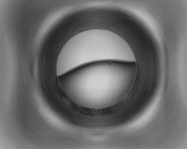X0000112370382200908131259