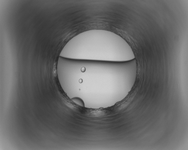 X0000112370383200908131259