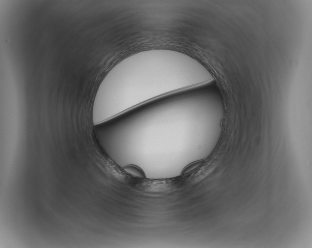 X0000112370384200908131259
