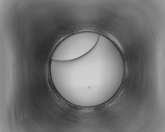 X0000112370386200908131258