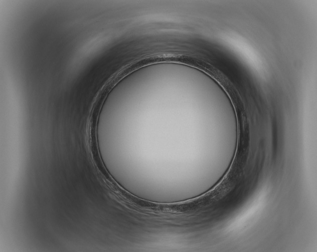 X0000112370387200908131258