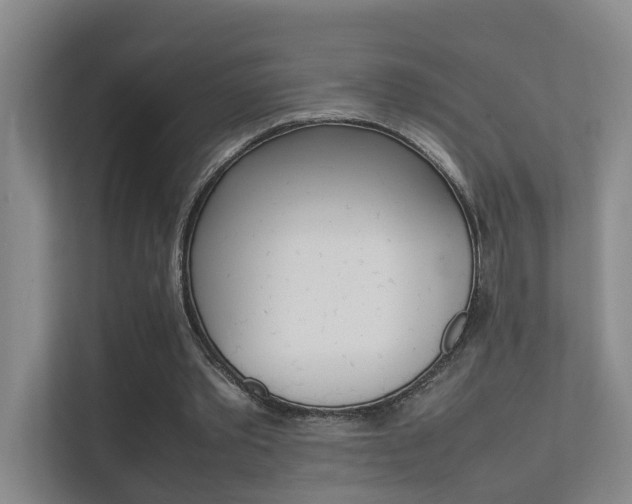 X0000112370389200908131258