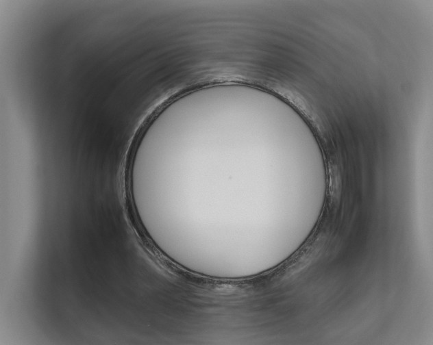 X0000112370390200908131258