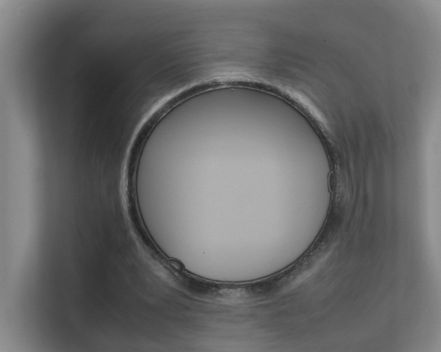X0000112370391200908131258