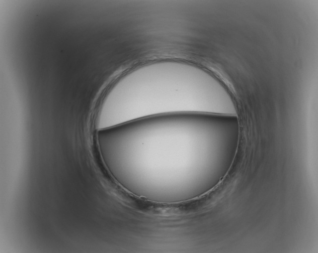 X0000112370395200908131258