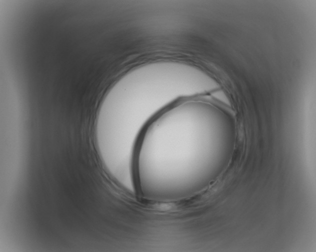 X0000112370409200908131258