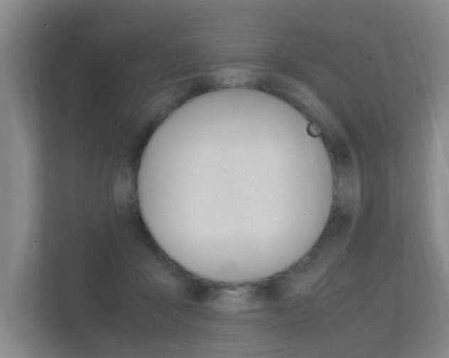 X0000112370411200908131258