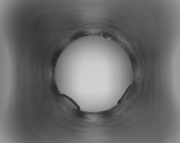 X0000112370417200908131258