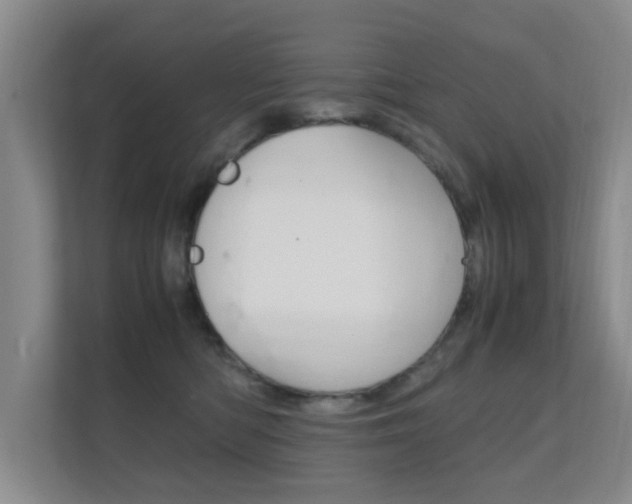 X0000112370422200908131258