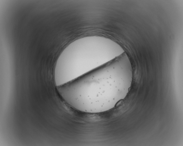 X0000112370424200908131258