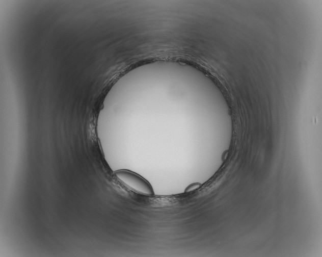 X0000112370432200908131258