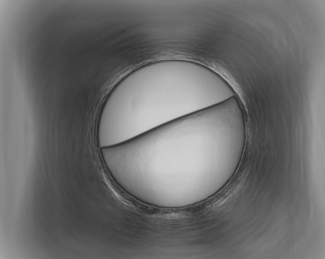 X0000112370433200908131257